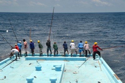 މަސްވެރިންނަށް ދޭން ޖެހޭ 53 މިލިއަން ރުފިޔާ ދޫކުރަން ފަށައިފި