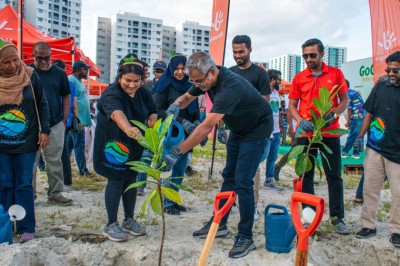 ކްލީން މޯލްޑިވްސްއާއި ދިރާގު ގުޅިގެން ގަސް އިންދުމުގެ ހަރަކާތެއް ބާއްވައިފި