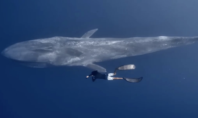 ބޮޑުމަހާއެކު މާފުށީ ގެސްޓްހައުސްއަކުން ނެގި ވީޑިއޯއަށް ދުނިޔޭގެ ސަމާލުކަން