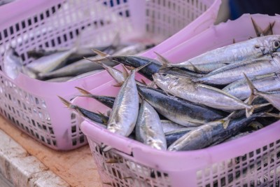 އަލިފުށީގެ އުތުރު އެއްވެސް ސަރަހައްދަކުން ލޭނު މަސްވެރިކަމެއް ނުކުރެވޭ