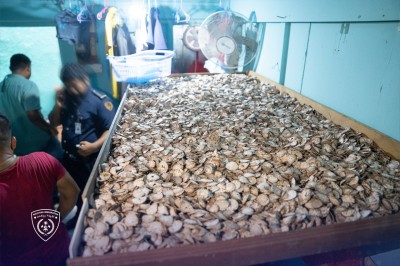 ދުފާ ސާމާނު ތައްޔާރުކުރާ ތަނަކުން ދެ ބިދޭސީން އިމިގްރޭޝަންގެ ބެލުމުގެ ދަށަށް