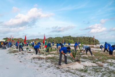 ސްޓެލްކޯގެ ފަސް ލައްކަ ގަސް އިންދުމުގެ މަޝްރޫއު: 36،825 ގަސް އިންދައިފި