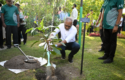 އިންވެސްޓަރުންނަށް ރައީސް ދެއްވީ އިއާދަކުރަނިވި ހަކަތައިގެ ވިޔަފާރި ރާއްޖޭގައި ފައިދާ ބޮޑުވާނެކަމުގެ ޔަގީންކަން