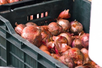 ފިޔާ ހިމެނޭ ގޮތަށް، ބާޒާރުގައި މުހިންމު ބައެއް ތަކެތީގެ އަގު ހެޔޮވެއްޖެ