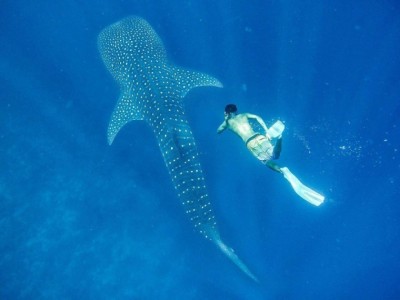 ފީނާއިރު ފެހުރިހީގައި އަތްލުން މަނާކޮށް، އަމަލުކުރަންޖެހޭ ގޮތުގެ ގަވާއިދެއް ނެރެފި