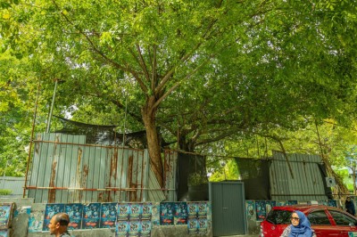 މާފަންނު ސަހަރާގެ ބޮޑު ބައެއް ހަދާނީ ގްރީން އޭރިއާއަކަށް: މޭޔަރު