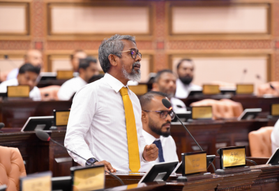 ކުންފުނިތަކަށް ޑިރެކްޓަރުން އިތުރުކުރެވޭ ގޮތް ހަދަނީ ސިޔާސީ މަގާމުތައް އިތުރުކުރަން: ޒިޔާދު