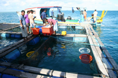 މެރިކަލްޗާ ފުޅާކުރަން 4 ޒޯނެއް ތަރައްގީކުރަން ނިންމައިފި