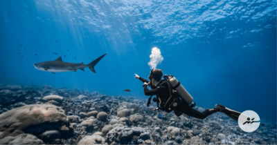 ކަނޑުއަޑީގެ ހިތްގައިމުކަން ދައްކައިދީ، ޕަޑީއާއެކު ވިކްޓާމާ ރާއްޖޭގައި ކުރު ފިލްމެއް ކުޅެފި