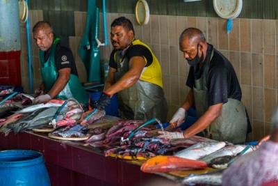 މިފްކޯއަށް 9 މިލިއަން ރުފިޔާ ނުދެވި، ބުނަނީ ދޭނެ ގޮތެއް އަދި ނެތްކަމަށް