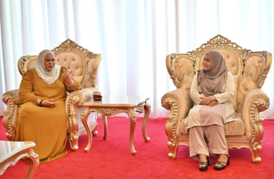 ރައީސްގެ އަނބިކަނބަލުން ޓެންޒެނިޔާއަށް ކުރެއްވި ރަސްމީ ދަތުރުފުޅު ނިންމަވާލައްވައިފި