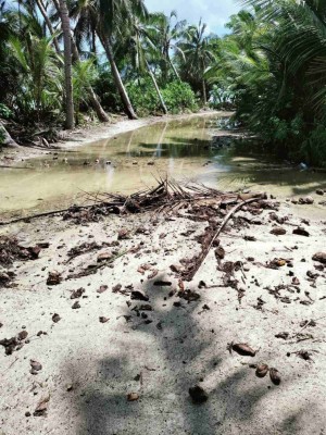 ނަޑެއްލާއަށް އުދައަރައި، ލޮނުގަނޑު ގެތަކާ ހަމައަށް