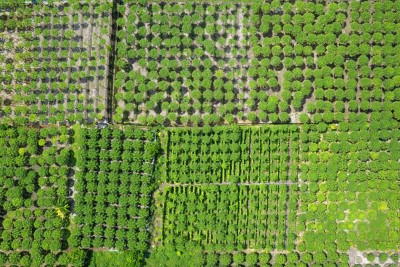 ދަނޑުވެރިކަން ކުރިއެރުވުމަށް 16 މިލިއަން ރުފިޔާގެ ލޯނު މިހާތަނަށް ދޫކޮށްފި، 30 ޕަސަންޓު އަންހެނުންނަށް