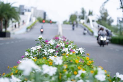 ހުޅުމާލެ ފޭސް ދޭއްގެ މަގުތަކުގެ މާގަސްތަކުން ހިތްގައިމުކަން، ކުލަޖެހެން ފަށައިިފި