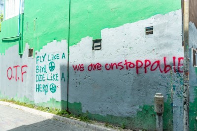 ގޭންގުތަކުން އެއްވާ ސަރަހައްދުތައް އަހަރެއް ތެރޭ، އެއް ލައްކަ ފަހަރު ބަލައިފި