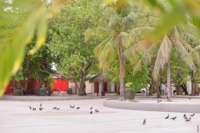 ކެފޭއެއްގައި އިންދައި މެއަށް ތަދެއް އަރައިގެން ހޮސްޕިޓަލަށް ގެންދިޔަ މީހަކު ފަރުވާދެނިކޮށް މަރުވެއްޖެ