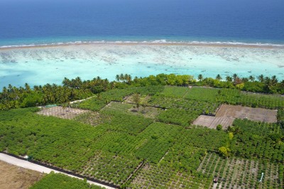 ތޮއްޑޫގައި އެމްއެންޔޫގެ އެގްރިކަލްޗާ އެންޑް ސައިންސަސް ފެކަލްޓީ އަޅަން 80،000 އަކަފޫޓުގެ ބިމެއް