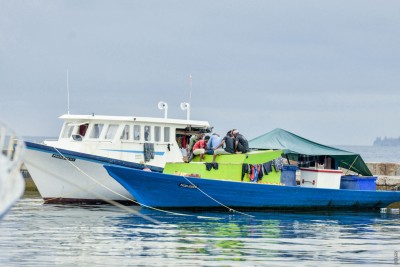 ކޫއްޑޫއާއި އައްޑޫ ފިޝަރީސް ކޮމްޕްލެކްސްއަށް 22 މިލިއަން ރުފިޔާ ދޫކޮށްފި