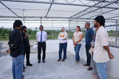 މަގުތަކުގައި އުޅޭ ބުޅާތައް އަންނަ ހަފުތާގައި ފެސިލިޓީއަށް ގެންދަން ފަށަނީ