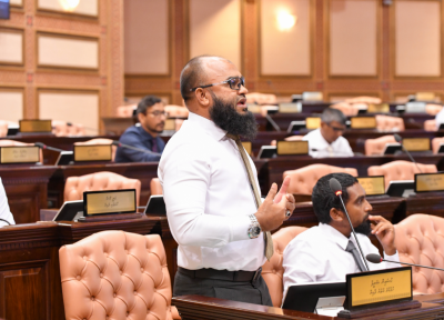 ޒުވާނުން ބާރުވެރިކުރަން މިލިޓަރީ ޓްރެއިނިން ދޭންޖެހޭ: ހުސައިން ޝަރީފް