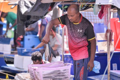 ދެކެން ބޭނުންވަނީ މަހުގެ އަގު މަސްވެރިން ކަނޑައަޅާ ދުވަހެއް: މިފްކޯ