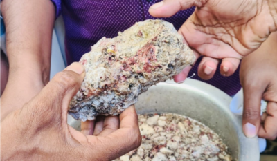 ފައިނުން ހޮވި މާވަހަރުގެ ބަރުދަނުގައި ކިލޯއެއް، ވިއްކައިލަނީ