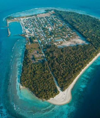 ވައިން ހަކަތަ އުފައްދާ ނިޒާމެއް މަނަދޫގައި ގާއިމްކުރަން ބީލަމަށް ހުޅުވާލައިފި