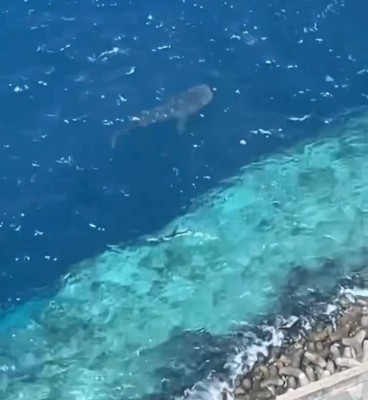 ހޮސްޕިޓަލް ބޭރުގައި ފެހުރިއްސެއް!