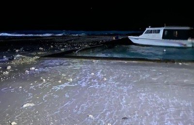 ބޭރު ތޮަށި ނެތުމުން ރާޅުތައް ނަރުދޫ ތެރެއަށް؛ ރޯދައަށް ހެއްދި ގަސްތައް ވެސް ހަލާކު!