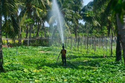 ދަނޑުވެރިކަމުގެ އެކި ދާއިރާތަކުން ބޭރުގައި މަތީ ތައުލީމު ހާސިލްކުރަން ފުރުސަތުތަކެއް ހުޅުވާލައިފި