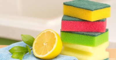 އެކި ކުލައިގައި ސްޕޮންޖު ހުންނަނީ ކީއްވެކަން އެނގޭތަ؟