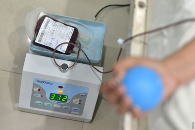 ބޯންމެރޯ ޓްރާންސްޕްލާންޓަށް ދިޔަ ހަ ކުއްޖަކު ފަރުވާއަށްފަހު، ރާއްޖެ އަތުވެއްޖެ