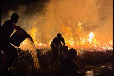 އައްޑޫ، މަތިކިޅީގެ ބޮޑު ސަރަހައްދެއްގައި ރޯވި އަލިފާން ނިއްވައިލައިފި