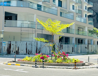 ކޮންކްރީޓް މޮނިއުމަންޓްގެ ބަދަލުގައި ރައުންޑްއެބައުޓްތަކުގައި ބަގީޗާހައްދަން ނިންމައިފި