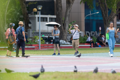 ގްރީން ފަންޑަށް ޑިސެންބަރު މަހު 109 މިލިއަން ރުފިޔާ، ޚަރަދު 172 މިލިއަނަށް