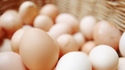 އެއް ލައްކަ ބިސް ވަގަށް ނެގި މައްސަލަ ހޫނުވެއްޖެ