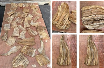 582 ކިލޯގެ މިޔަރު މަހާއި މަޑި މަސް ބޭރުކުރަން އުޅުނު ކުންފުނީގެ ނަން ހާމަކޮށްފި