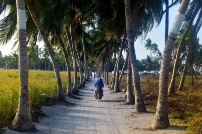 ތޮއްޑޫގައި ބަރަހަނާވެ، ފުލުހުންނަށް އަނިޔާކުރި ފަތުރުވެރިއަކު ހައްޔަރުކޮށްފި