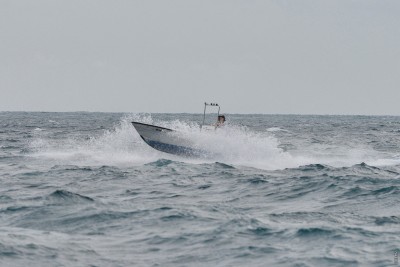 ފިޔޯރީން ފުރި ޑިންގީ ފެނިއްޖެ