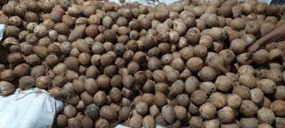 ކާށީގެ އަގު ބޮޑުވެ، އެސްޓީއޯއިން ވިޔަފާރިވެރިންނަށް ކާށި ގެނެސްދެނީ