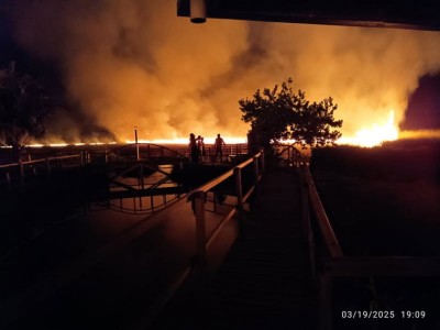 މަތިކިޅީގެ ދެބައިކުޅަ އެއްބައި އެނދި، މިއީ 15 އަހަރު ތެރޭ ލިބުނު އެންމެ ބޮޑު ގެއްލުން