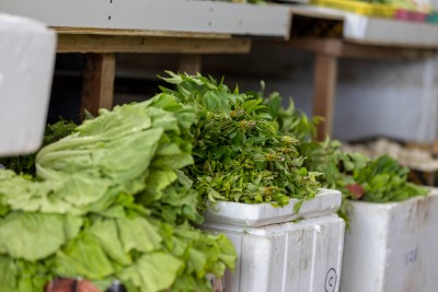 ރޯދަމަހުގެ ފުރަތަމަ ދުވަހު މޭވާއާއި ތަރުކާރީގެ އަގުތަކަށް ބަދަލެއް ނާދޭ