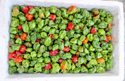 ބާޒާރުގައި ކަނޑޫދޫ މިރުހުގެ އަގު އަދިވެސް ދަނީ ދަށަށް