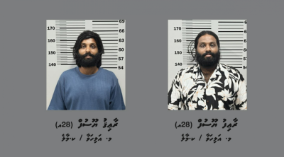 މަސްތުވާތަކެއްޗާއެކު އެއްމާބަނޑު ދެބެން ހައްޔަރުކޮށްފި