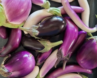 ބަށި ނުކައި ދޫކޮށްލާ ވަރަށް ވުރެ ލިބޭ ފައިދާތައް މާގިނަ