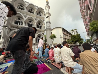 ޙުރުމަތްތެރިވެގެންވާ މައްސަރުތައް