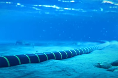 މާކަނޑުތައް ހުރަސްކޮށް އަޅާފައިވާ ސަބްމެރިން ކޭބަލްތައް ބުރިކުރާ ޑިވައިސްއެއް ޗައިނާއިން އުފައްދައިފި