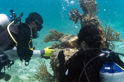 ކަނޑުއަޑީގެ ހާލަތު ދެނެގަނެވޭ ނިޒާމެއް ރާއްޖޭގައި އަލަށް ބޭނުންކުރަން ފަށައިފި