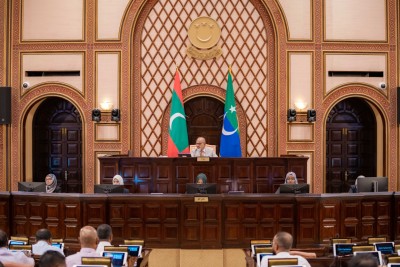 ދުންފަތުގެ ބިލު ބަލައިގަނެ، ވަގުތީ ކޮމިޓީއަކަށް ފޮނުވައިފި