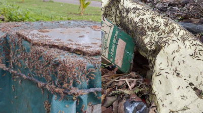 ކާޑެއްދޫ އެއާޕޯޓުން ނޭދެނީސް، ހުވަނީގެ މައްސަލަ ހައްލުކުރުމަށް މިނިސްޓްރީން އެހީ ދީފި